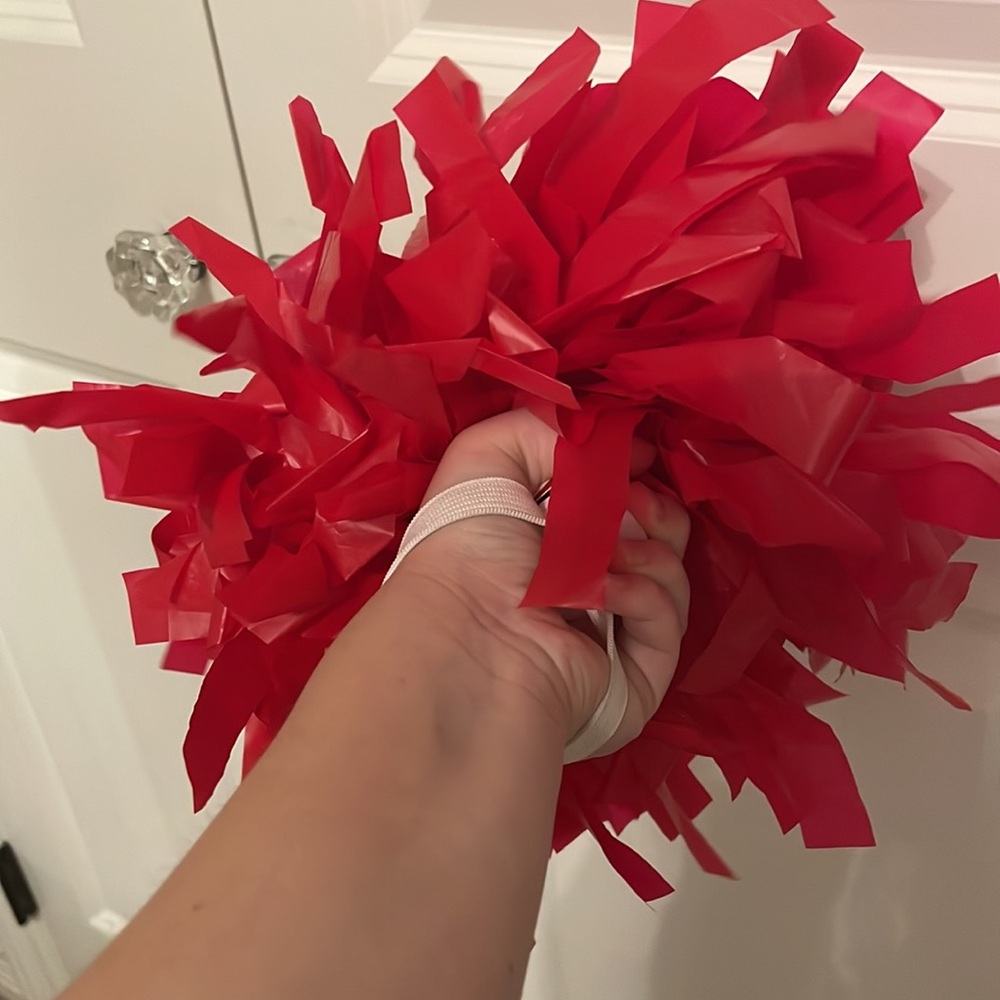 Pom-poms - Picture 2 of 3